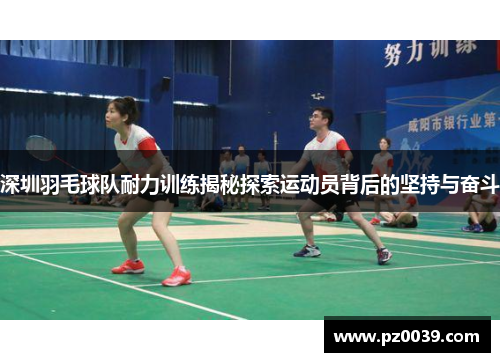 深圳羽毛球队耐力训练揭秘探索运动员背后的坚持与奋斗